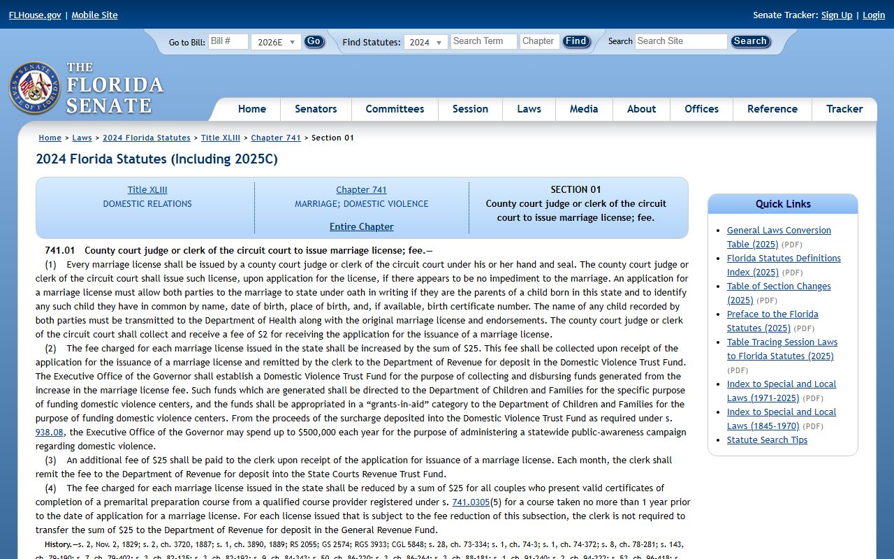 Polk County marriage license statute Florida Statutes 741.01 case type statutes